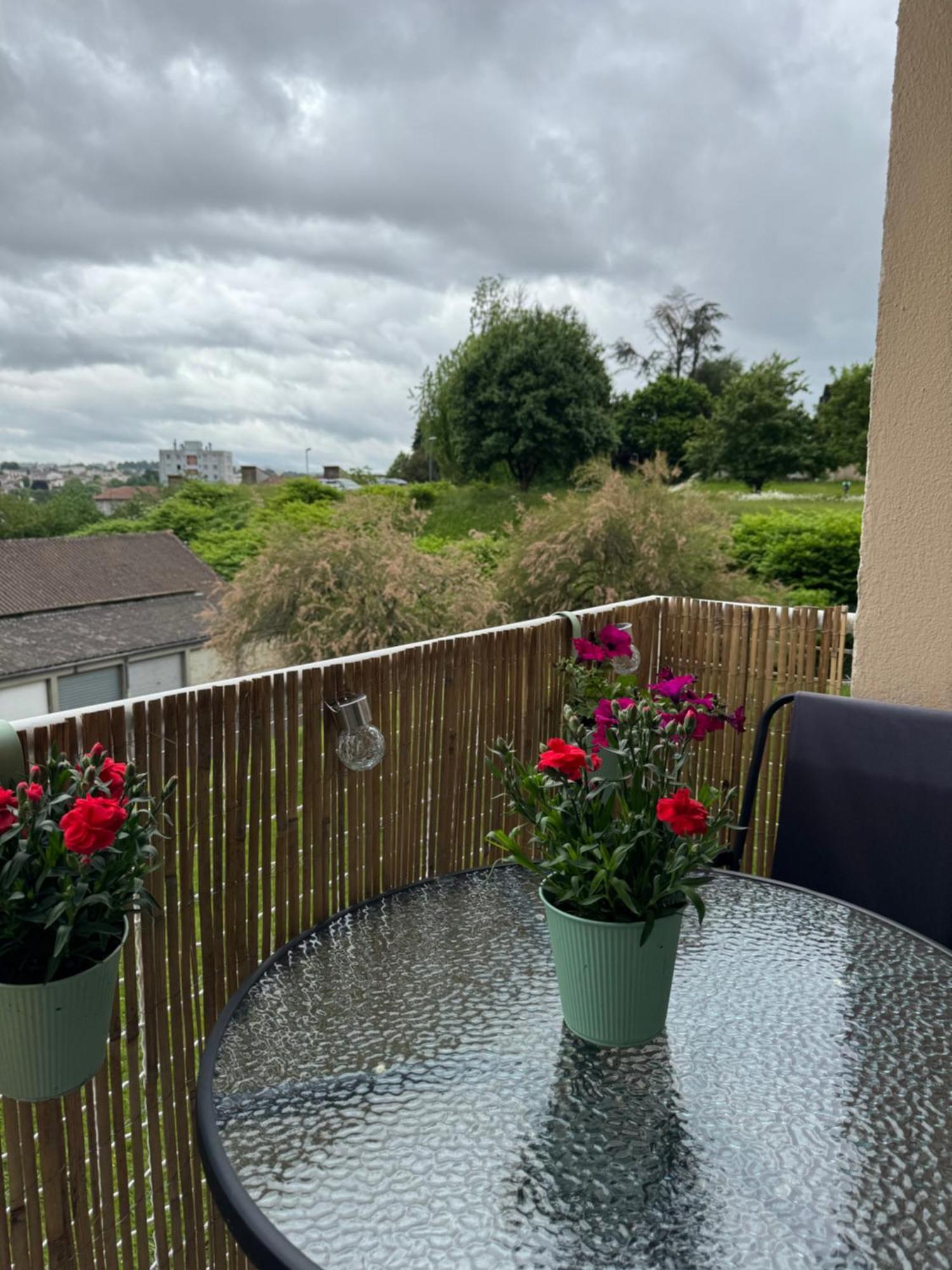 Appartement Chaleureux Et Spacieux T3 Limoges Exterior foto