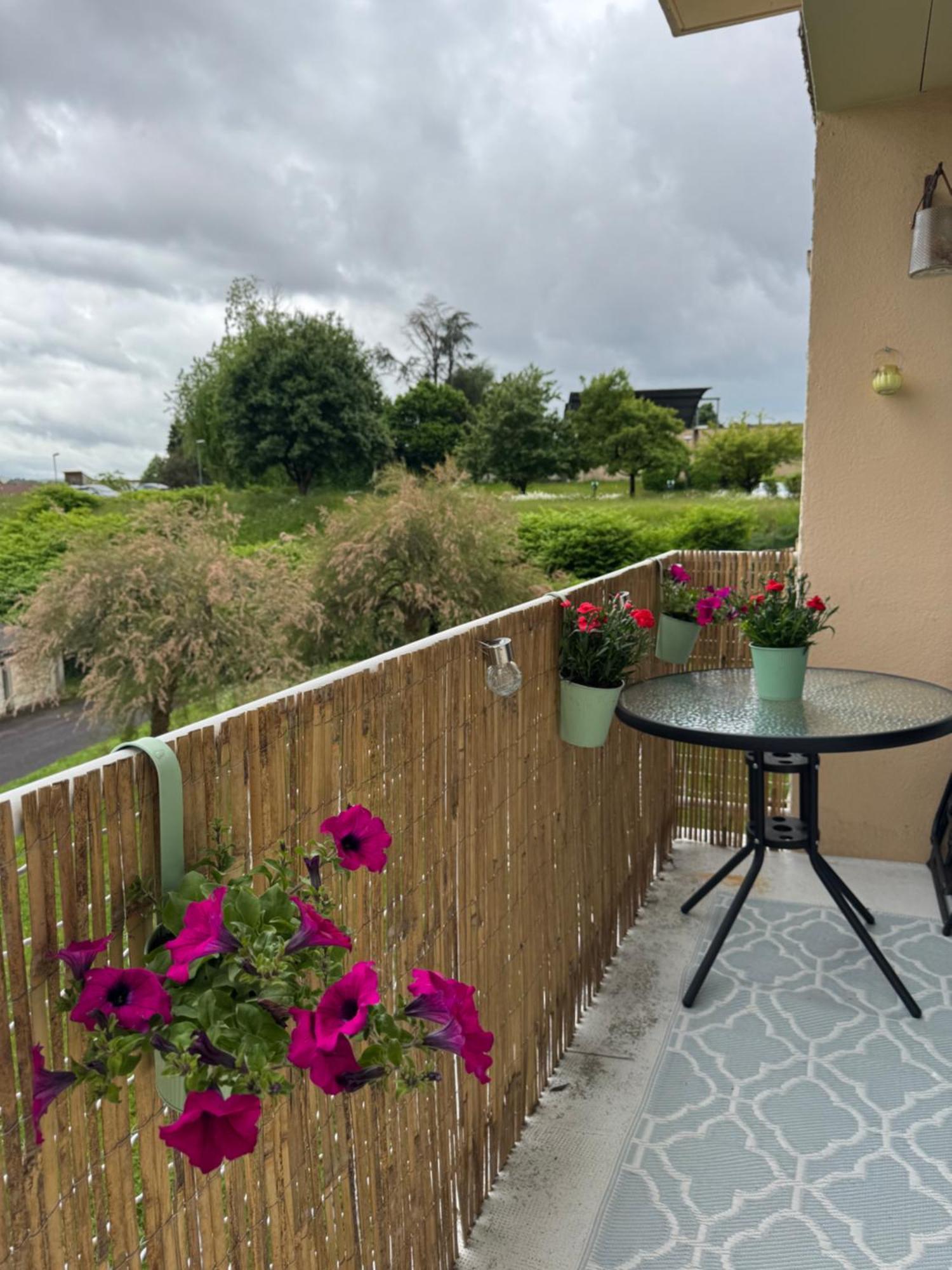 Appartement Chaleureux Et Spacieux T3 Limoges Exterior foto